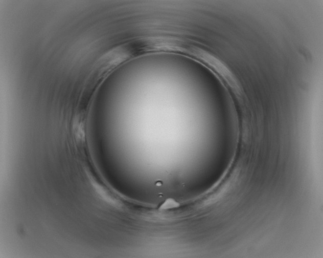 X0000114511241200910191126