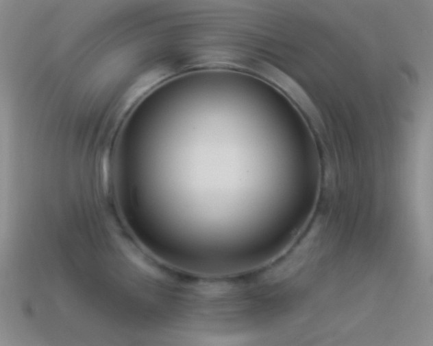 X0000114511242200910191126