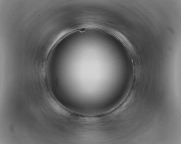 X0000114511244200910191126