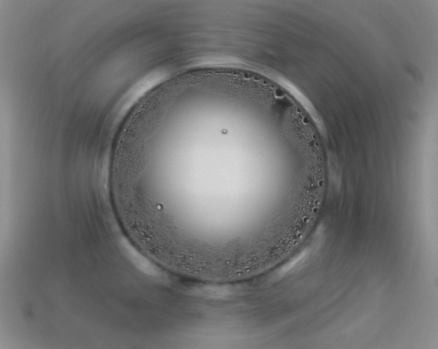 X0000114511245200910191126