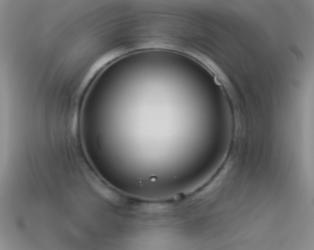 X0000114511246200910191126