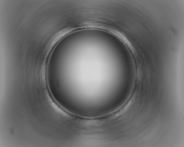 X0000114511247200910191126