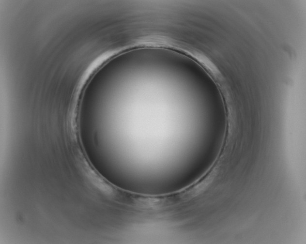 X0000114511248200910191126