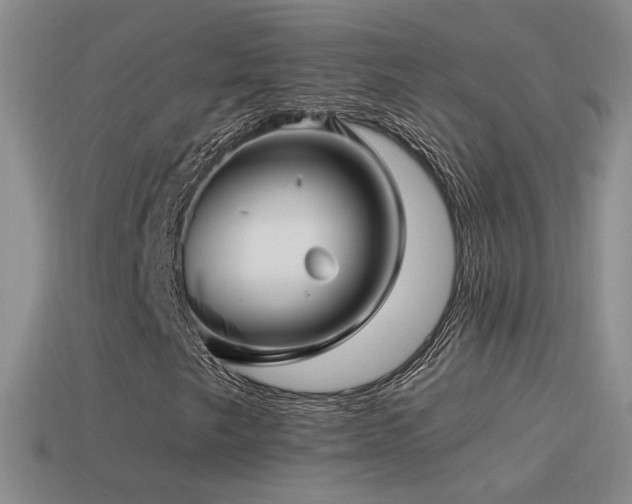 X0000114511249200910191125