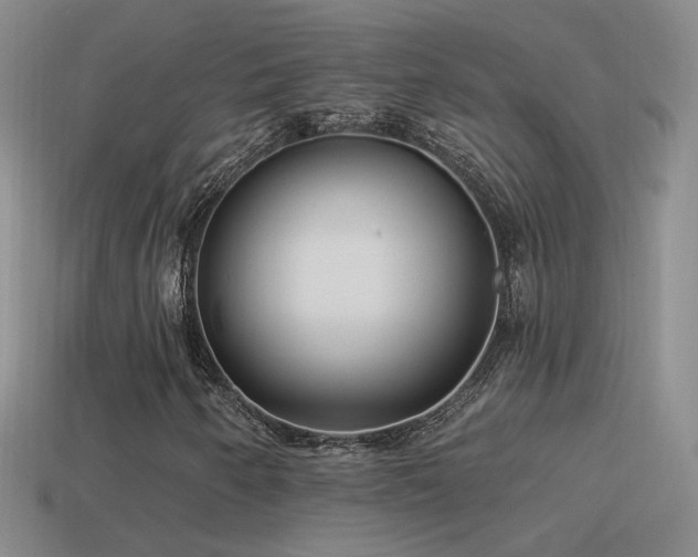 X0000114511250200910191125