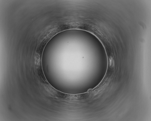 X0000114511251200910191125