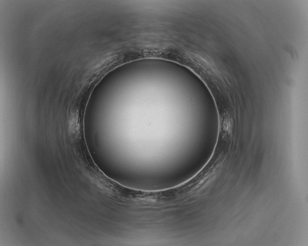 X0000114511252200910191125