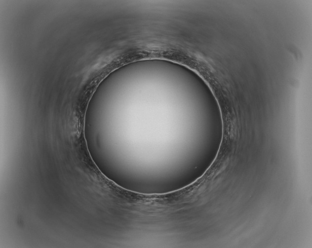 X0000114511253200910191125