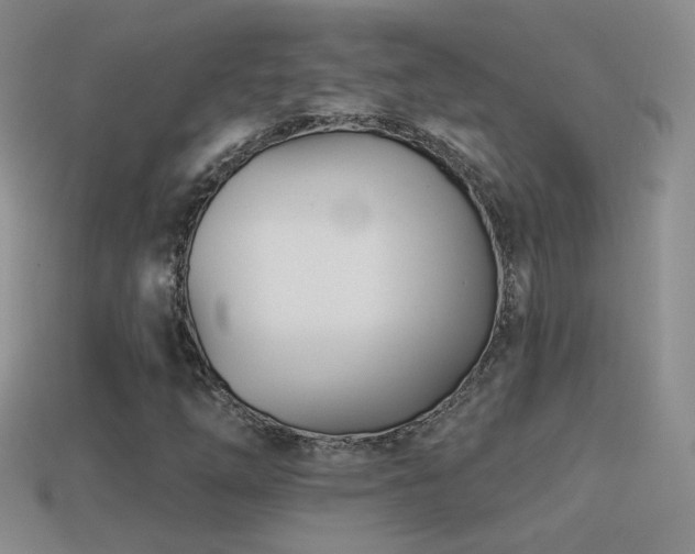 X0000114511254200910191125