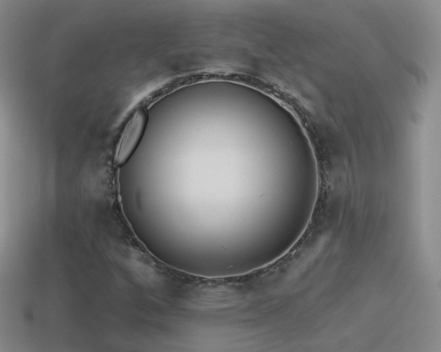 X0000114511256200910191125