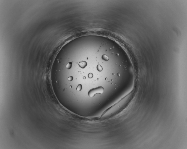 X0000114511257200910191125