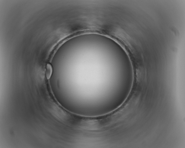 X0000114511260200910191125