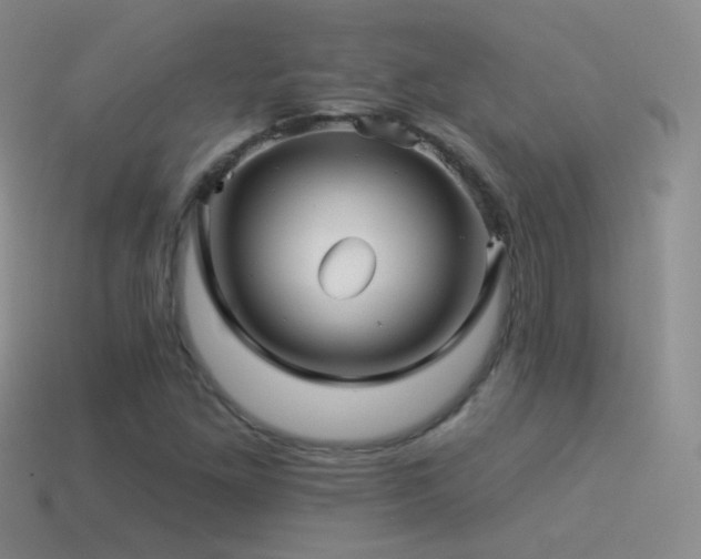X0000114511261200910191125
