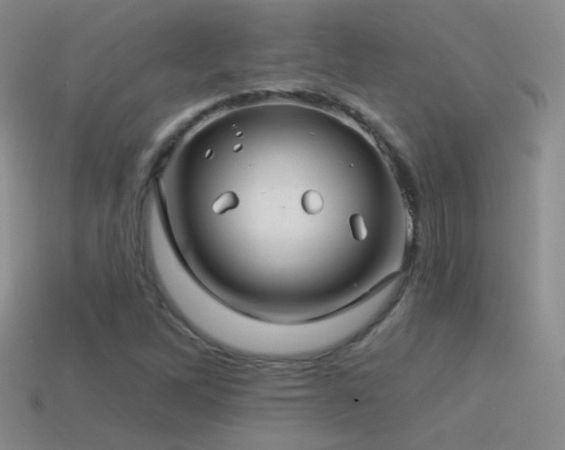 X0000114511262200910191125