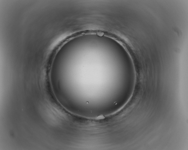 X0000114511263200910191125
