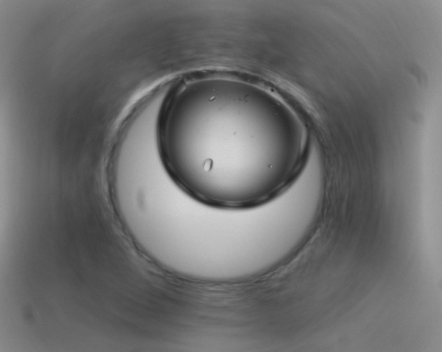 X0000114511264200910191125