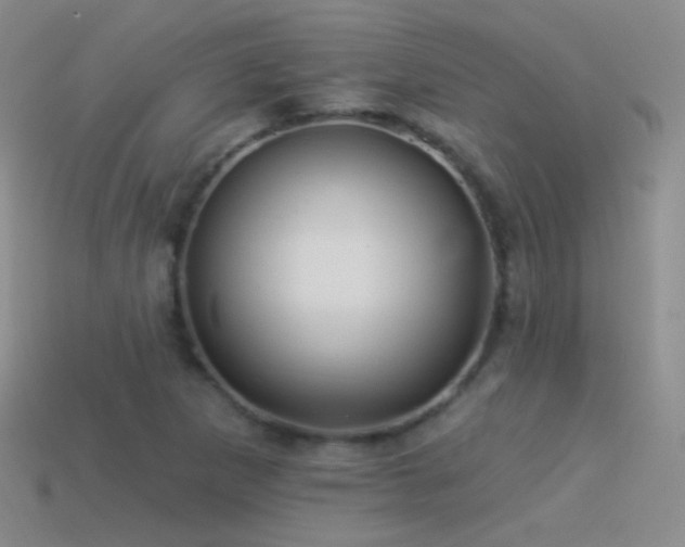 X0000114511265200910191125