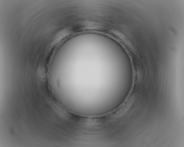 X0000114511266200910191125