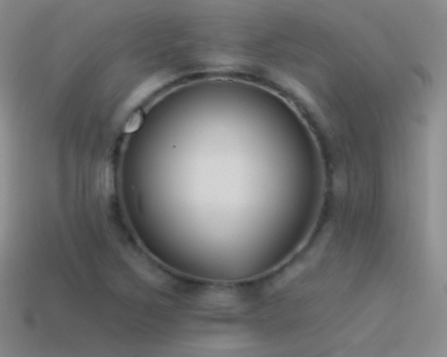 X0000114511267200910191125