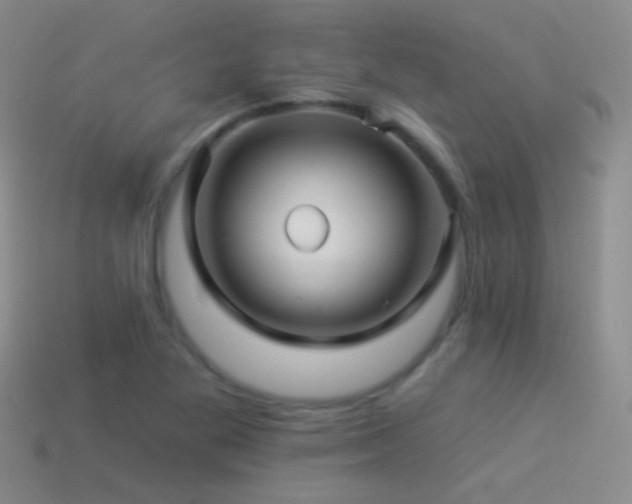 X0000114511269200910191125