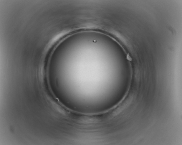 X0000114511270200910191125