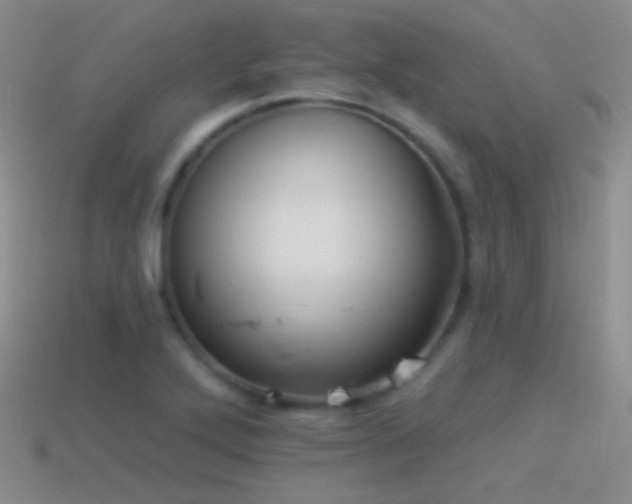 X0000114511272200910191125
