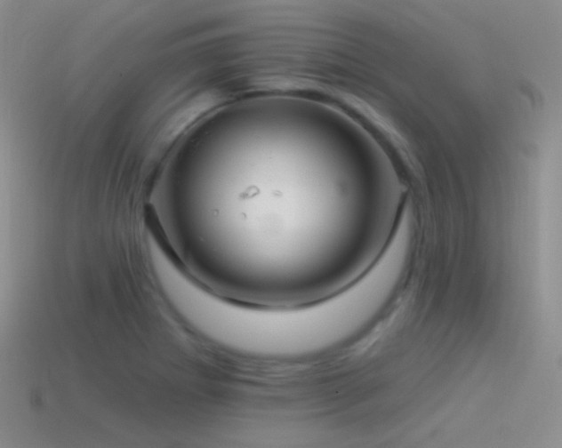 X0000114511273200910191125