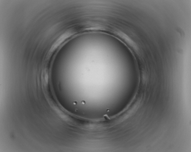X0000114511274200910191125