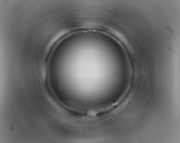 X0000114511275200910191125