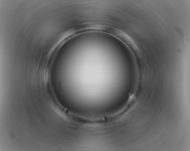 X0000114511276200910191125