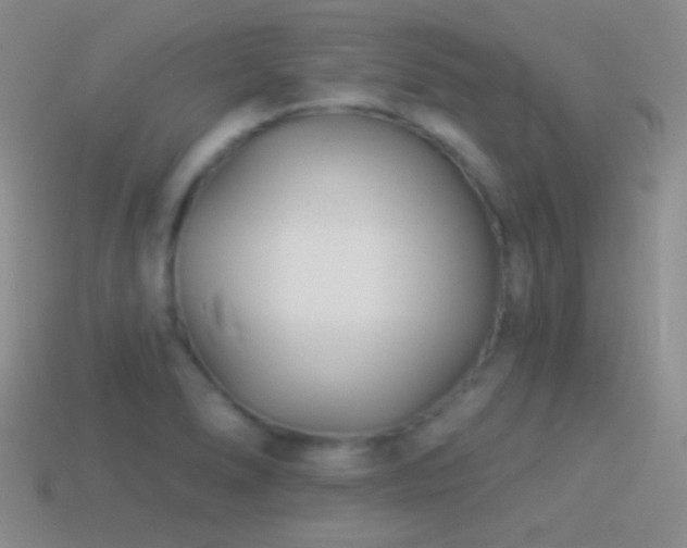 X0000114511278200910191125