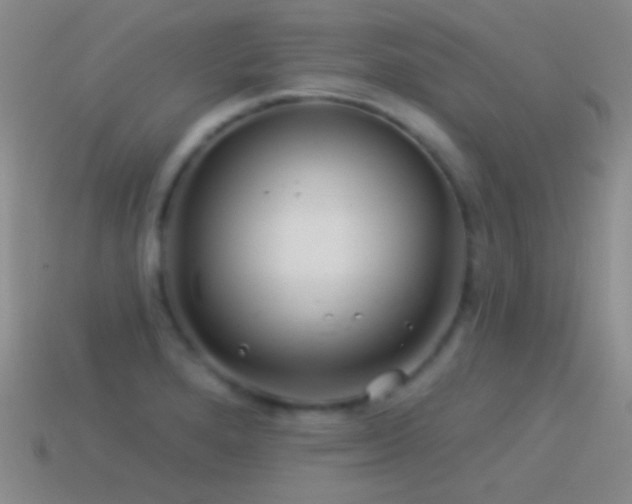X0000114511280200910191125