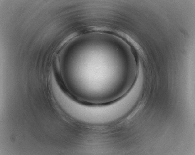 X0000114511281200910191125