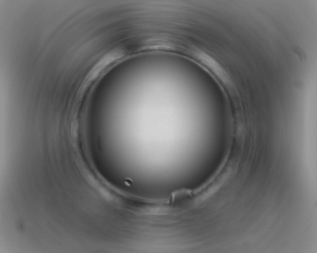 X0000114511282200910191125