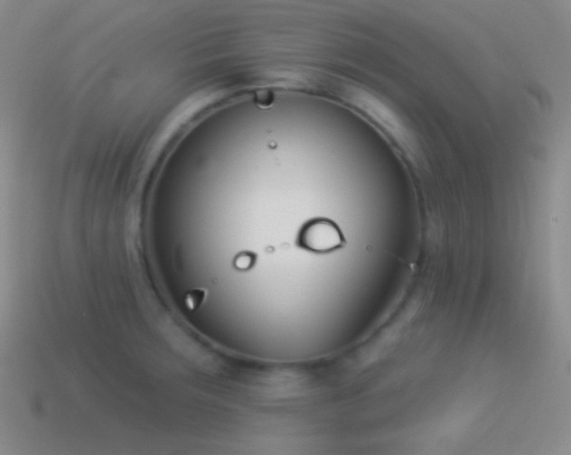 X0000114511283200910191125