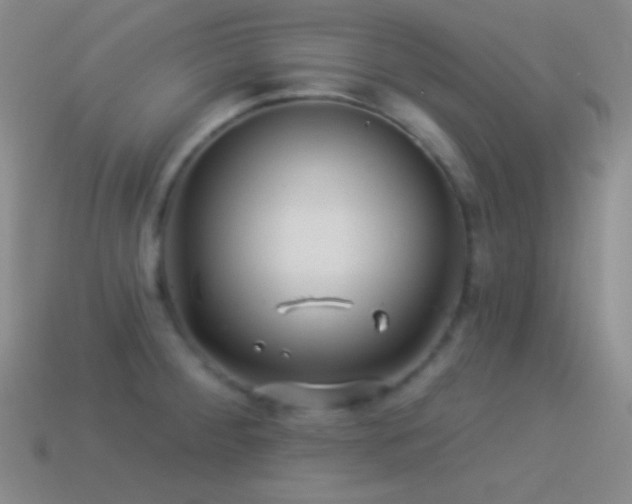 X0000114511284200910191125