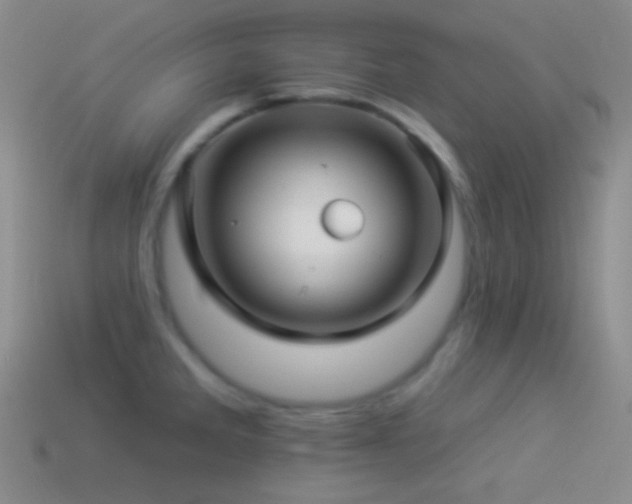 X0000114511285200910191125