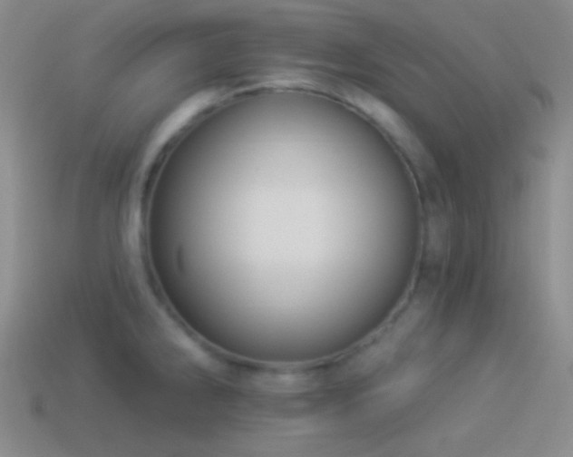 X0000114511286200910191125
