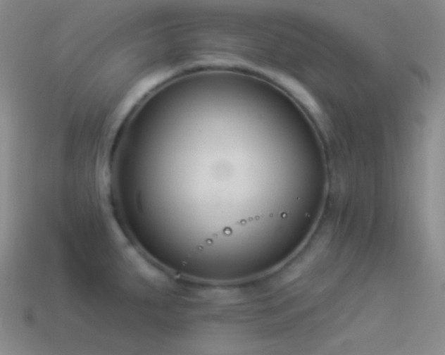 X0000114511287200910191125