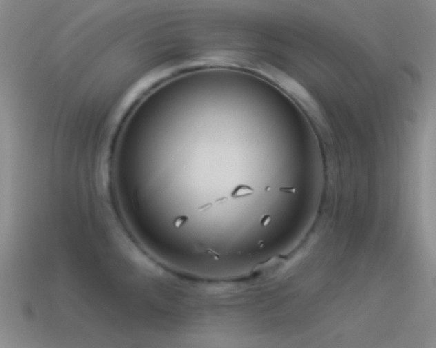 X0000114511288200910191125