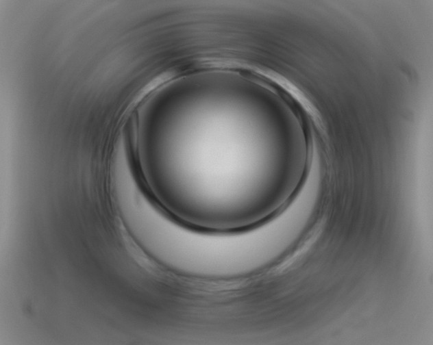 X0000114511289200910191125