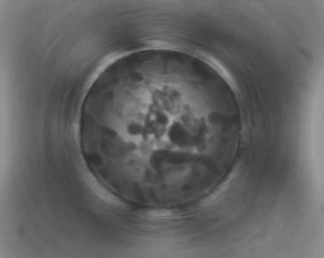 X0000114511291200910191125