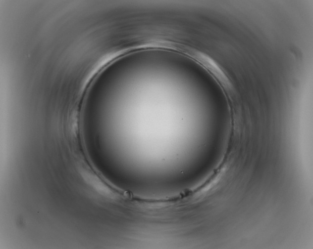 X0000114511292200910191125
