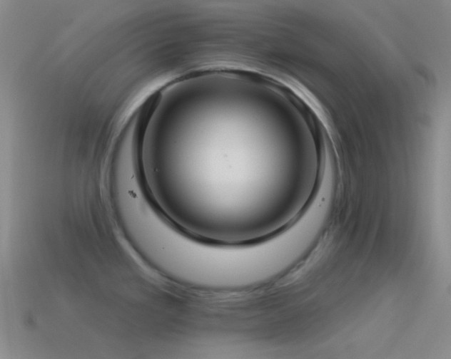 X0000114511293200910191125