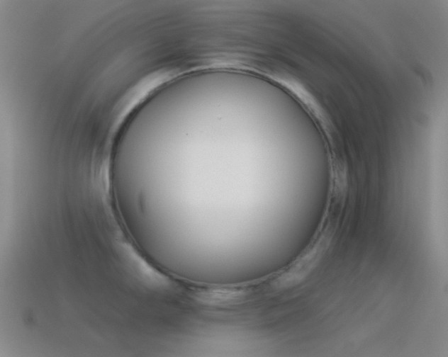 X0000114511294200910191125