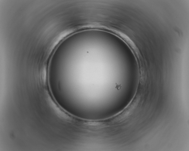 X0000114511295200910191125