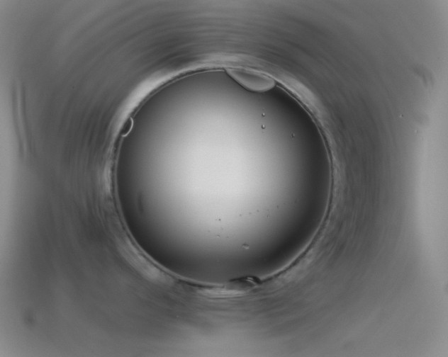 X0000114511296200910191125