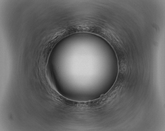 X0000114511297200910191124