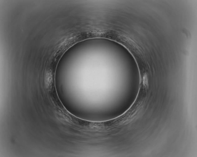 X0000114511299200910191124