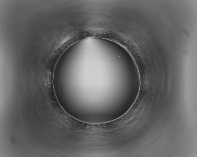 X0000114511301200910191124